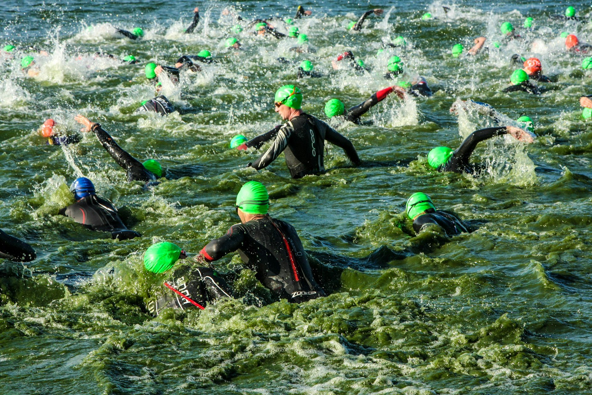 Triathlet beim Schwimmen